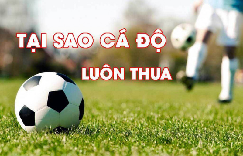 Lý giải tại sao cá độ bóng đá luôn thua đậm?